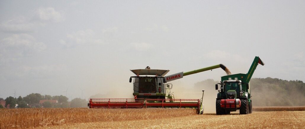harvest-8192037_1280